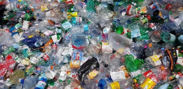 Romands cancres du tri des bouteilles en PET