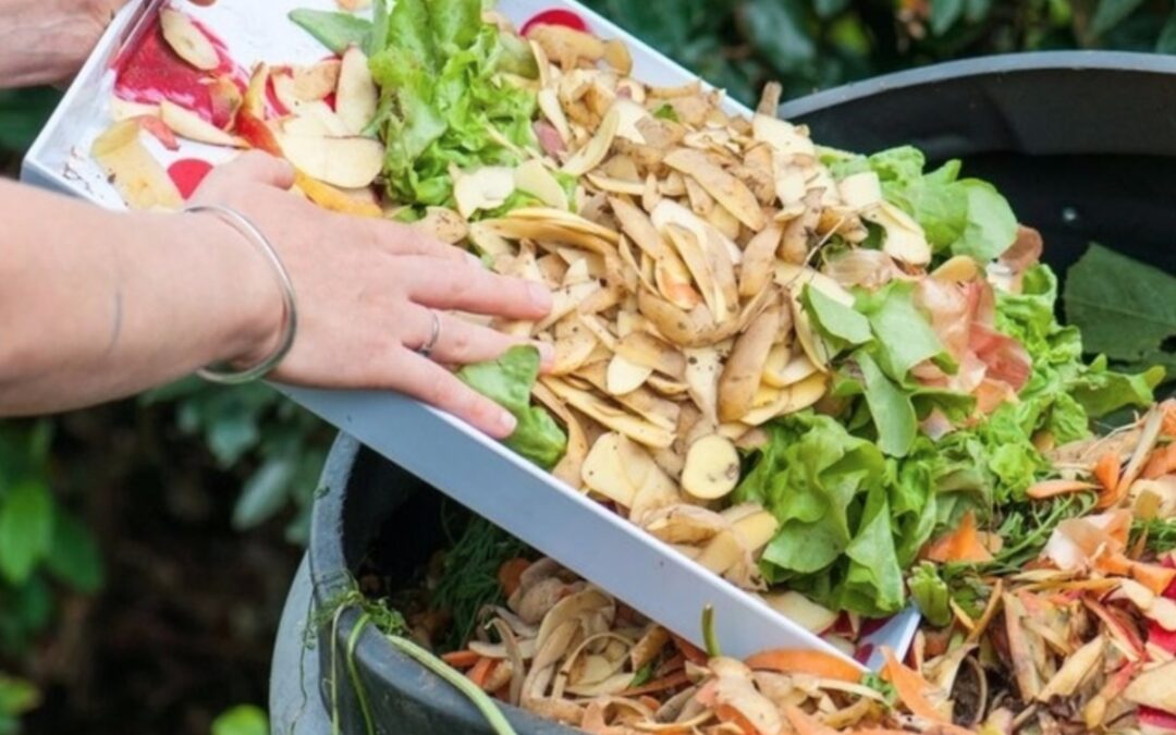 Les trognons de pomme devront être compostés!