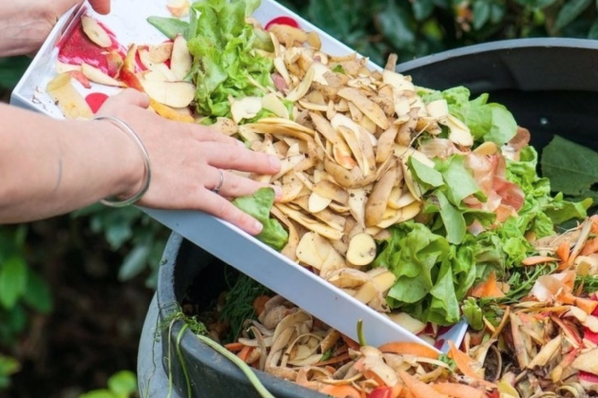 Les trognons de pomme devront être compostés!