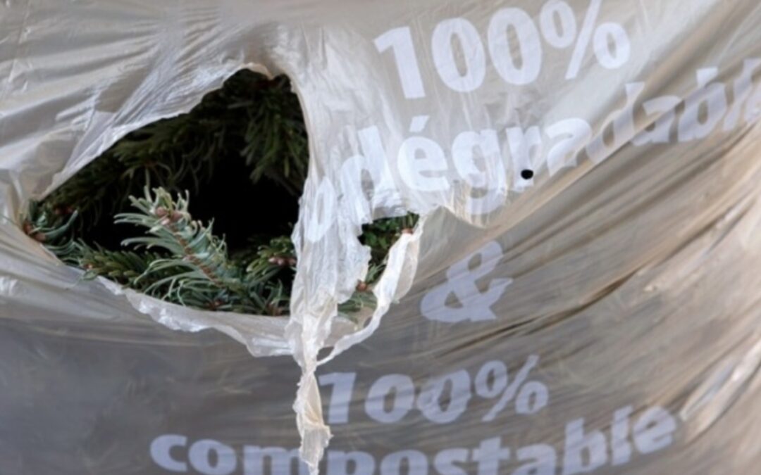Déchets verts: la Suisse pourrait faire mieux