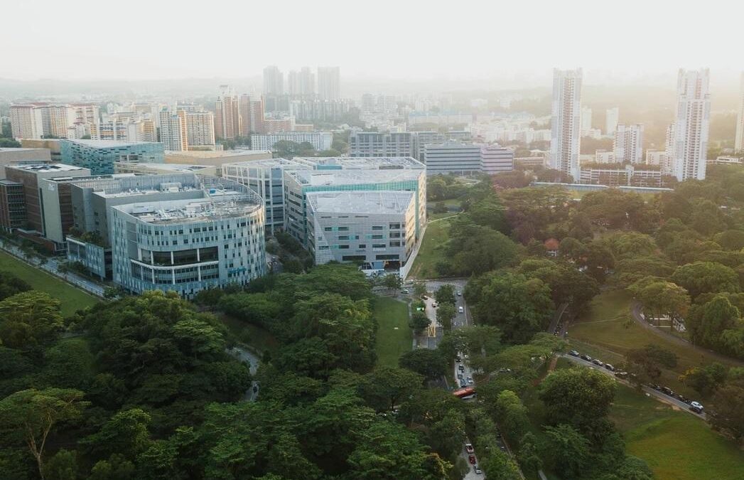 [Ailleurs] Les « forêts urbaines », essentielles aux villes de demain