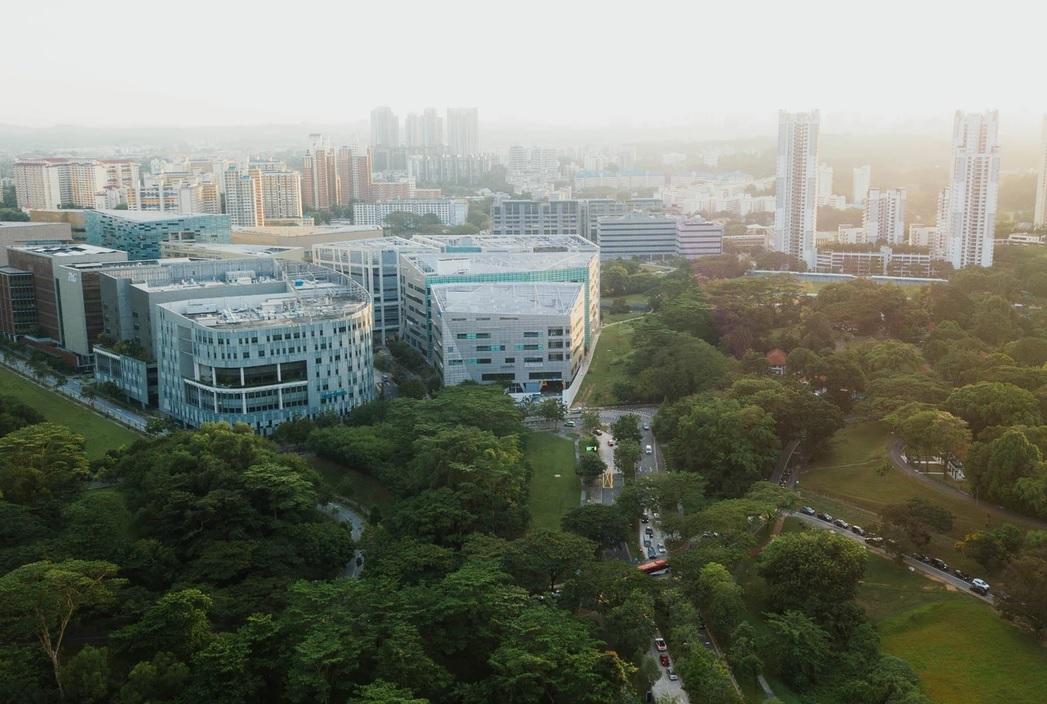 [Ailleurs] Les « forêts urbaines »