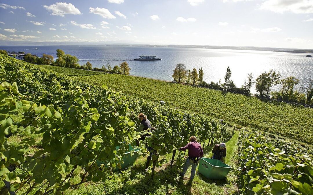 Visite de terrain formation regiosuisse «Travail transfrontalier et travail en réseau dans la région du lac de Constance»