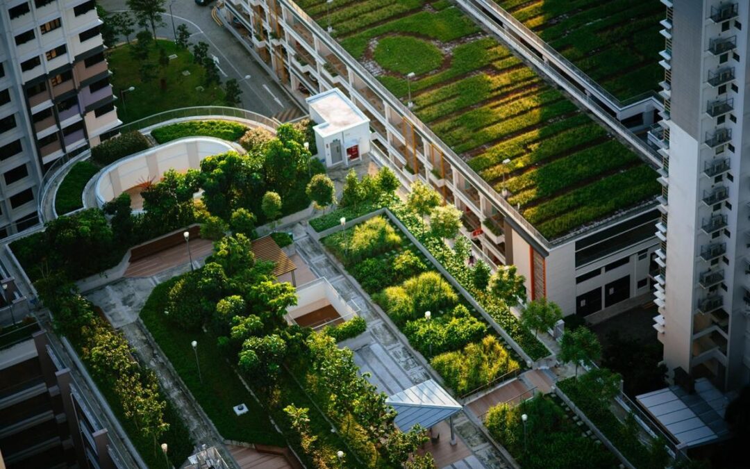 [Ailleurs] Comment redonner une place à la nature dans nos villes ?