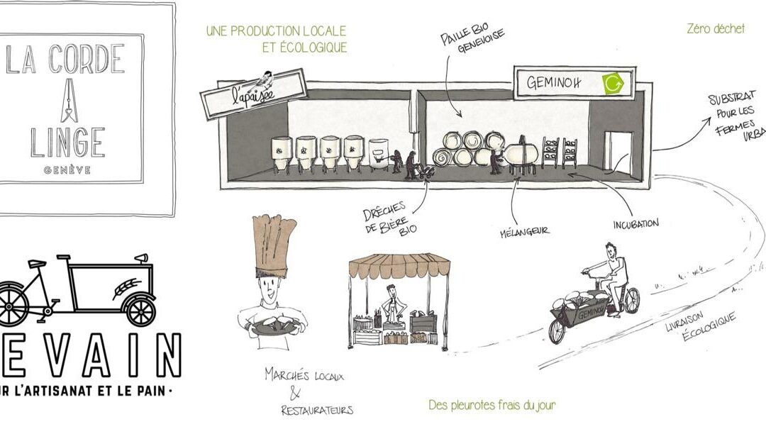 Prix IDDEA : Lessive locale, pain artisanal et pleurotes se partagent un podium