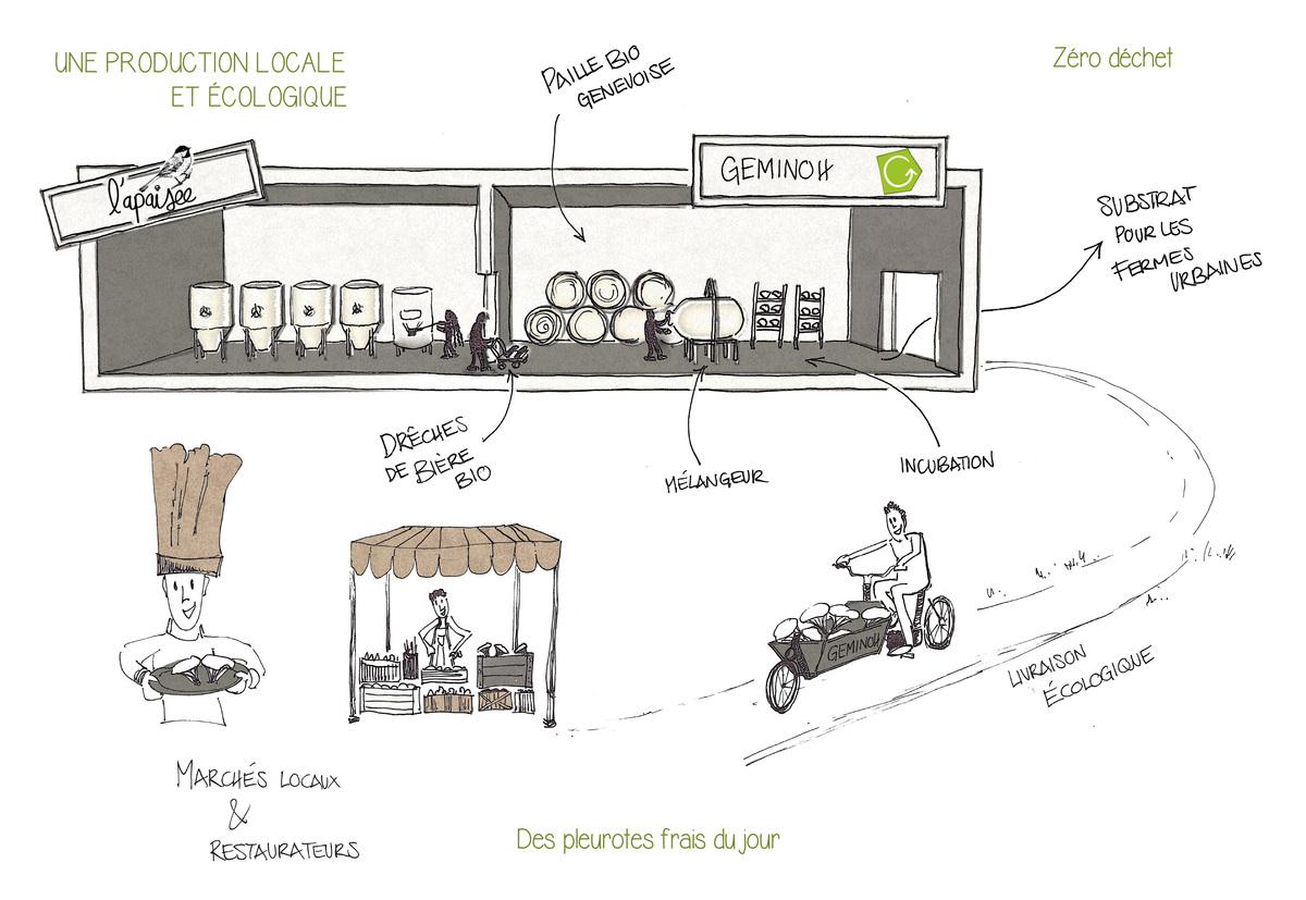 1999_cover Un bel exemple de circularité locale entre la champignonnière Geminoh et la brasserie de l'Apaisée
