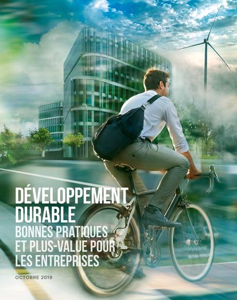 Etude Développement durable : bonnes pratiques et plus-value pour les entreprises