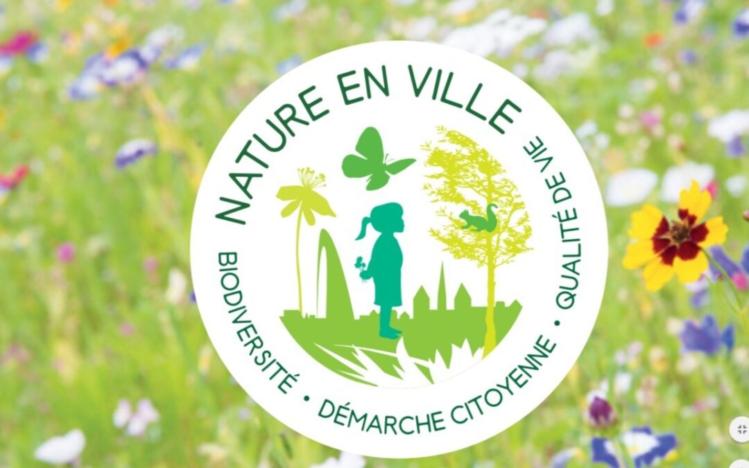 Concours Nature en ville 2020