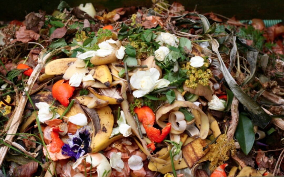 Biogaz : une énergie renouvelable à partir de déchets organiques