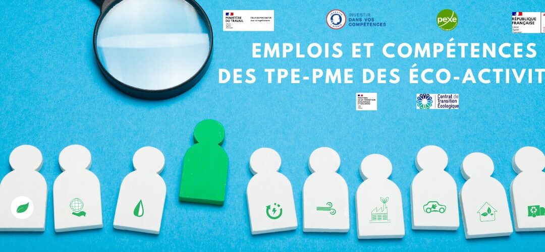 ENQUÊTE EMPLOIS ET COMPETENCES DES TPE-PME DES ECO-ACTIVITES