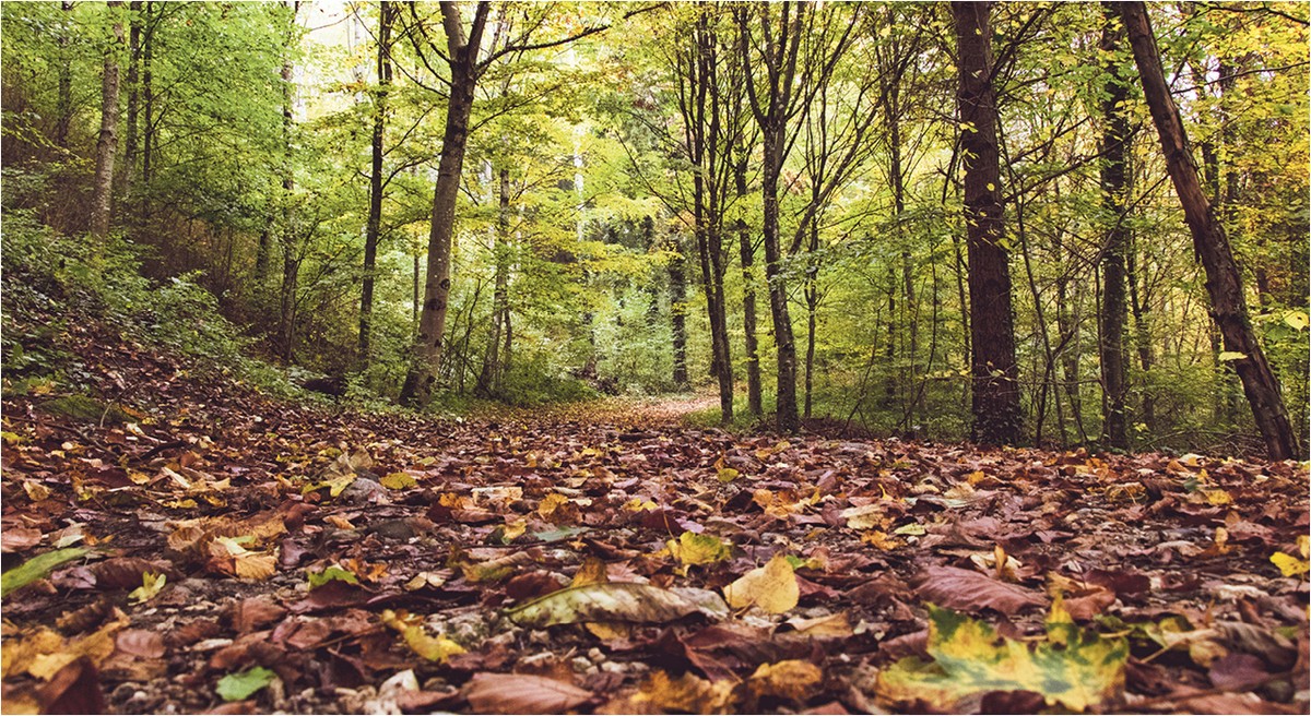 Près de 2