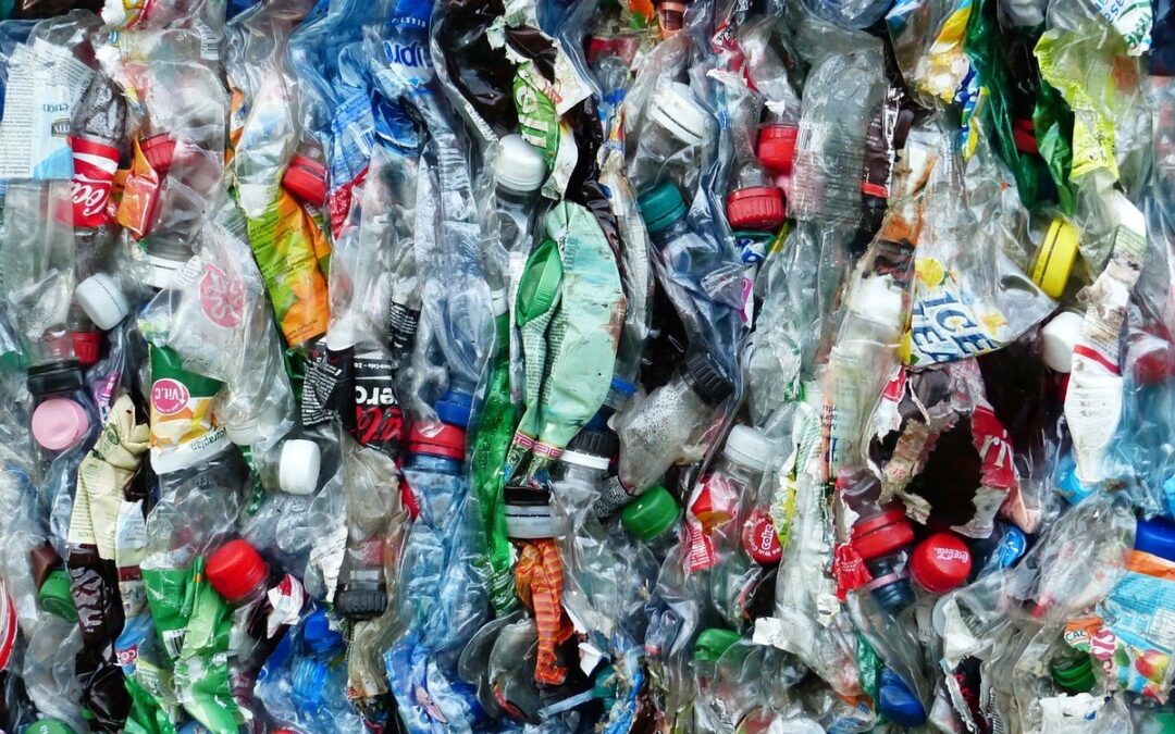 Adoption de la motion Dobler (Doper le recyclage du plastique – économie circulaire)