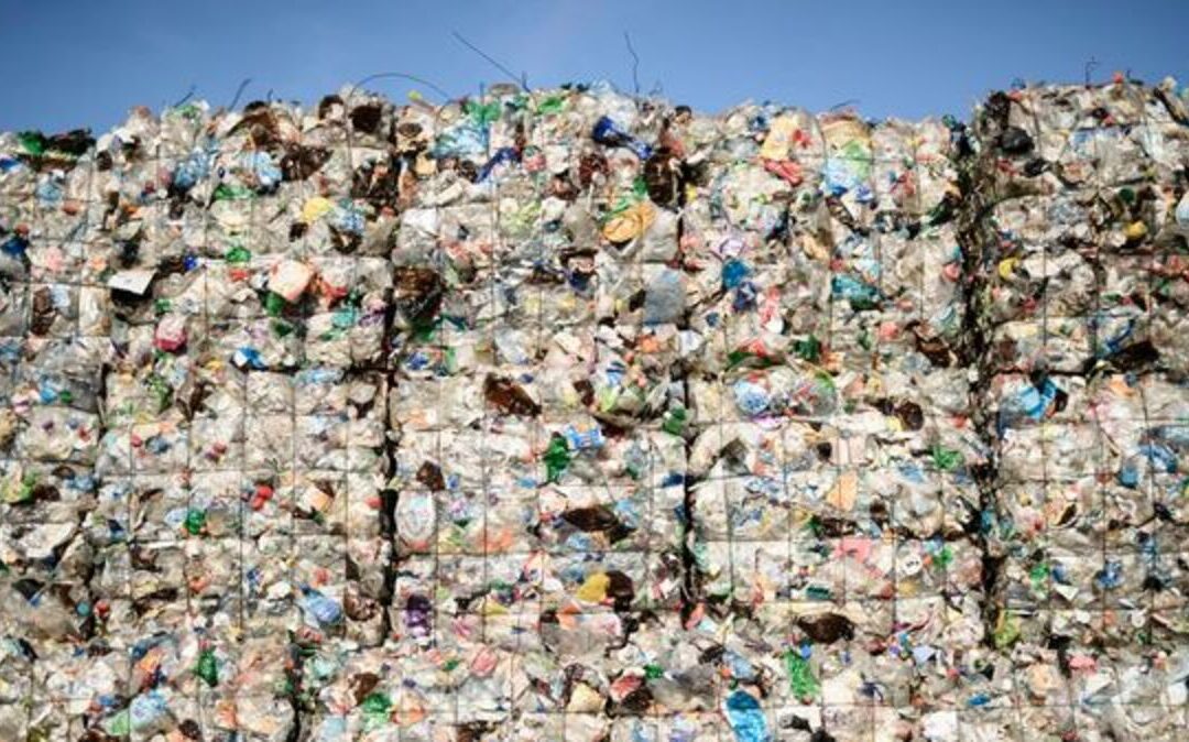 Une plateforme web pour mieux agir sur la pollution plastique mondiale
