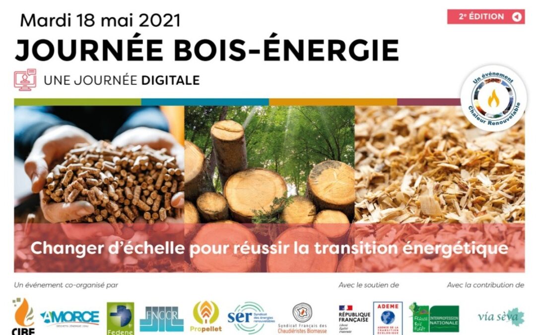 [Ailleurs] Journée digitale Bois-Énergie 2021- Changer d&rsquo;échelle …