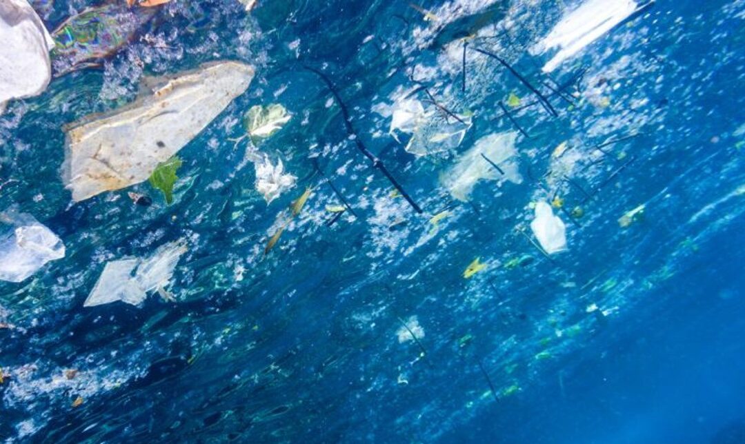 Un nouvel outil d&rsquo;analyse de l’empreinte environnementale des emballages