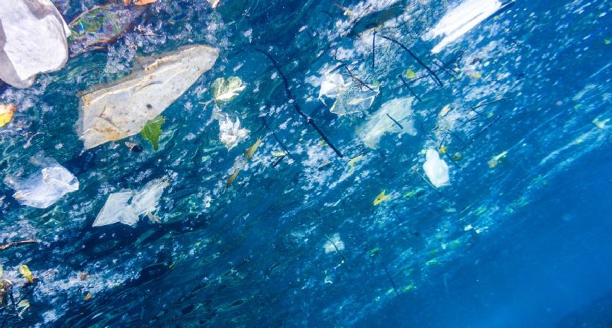 Un nouvel outil d'analyse de l'empreinte environnementale des emballages