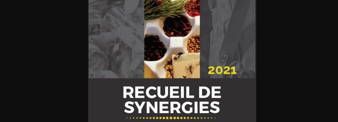 [Vu Ailleurs] Exemples inspirants de synergies en écologie industrielle et territoriale au Québec