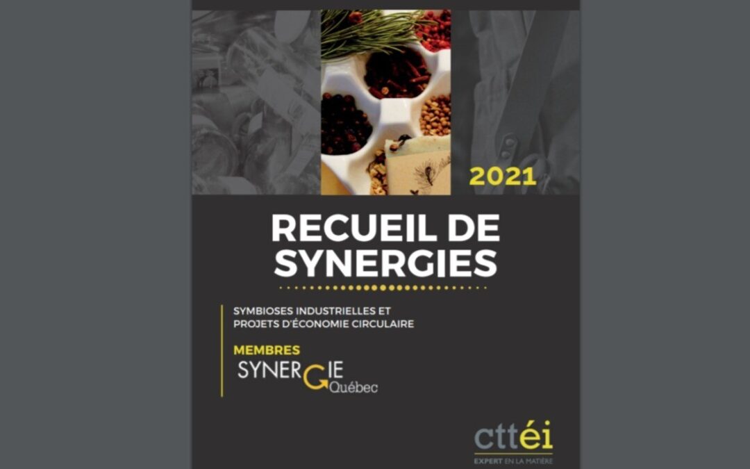 [Vu ailleurs] Un recueil d&rsquo;inspiration de synergies et symbioses industrielles