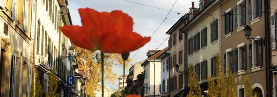 Laboratoire de durabilité, Carouge multiplie les initiatives