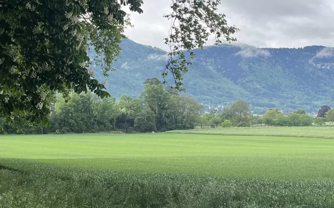 [Interview] Séquestration du CO2, résilience: l’agriculture genevoise lance Résulterre