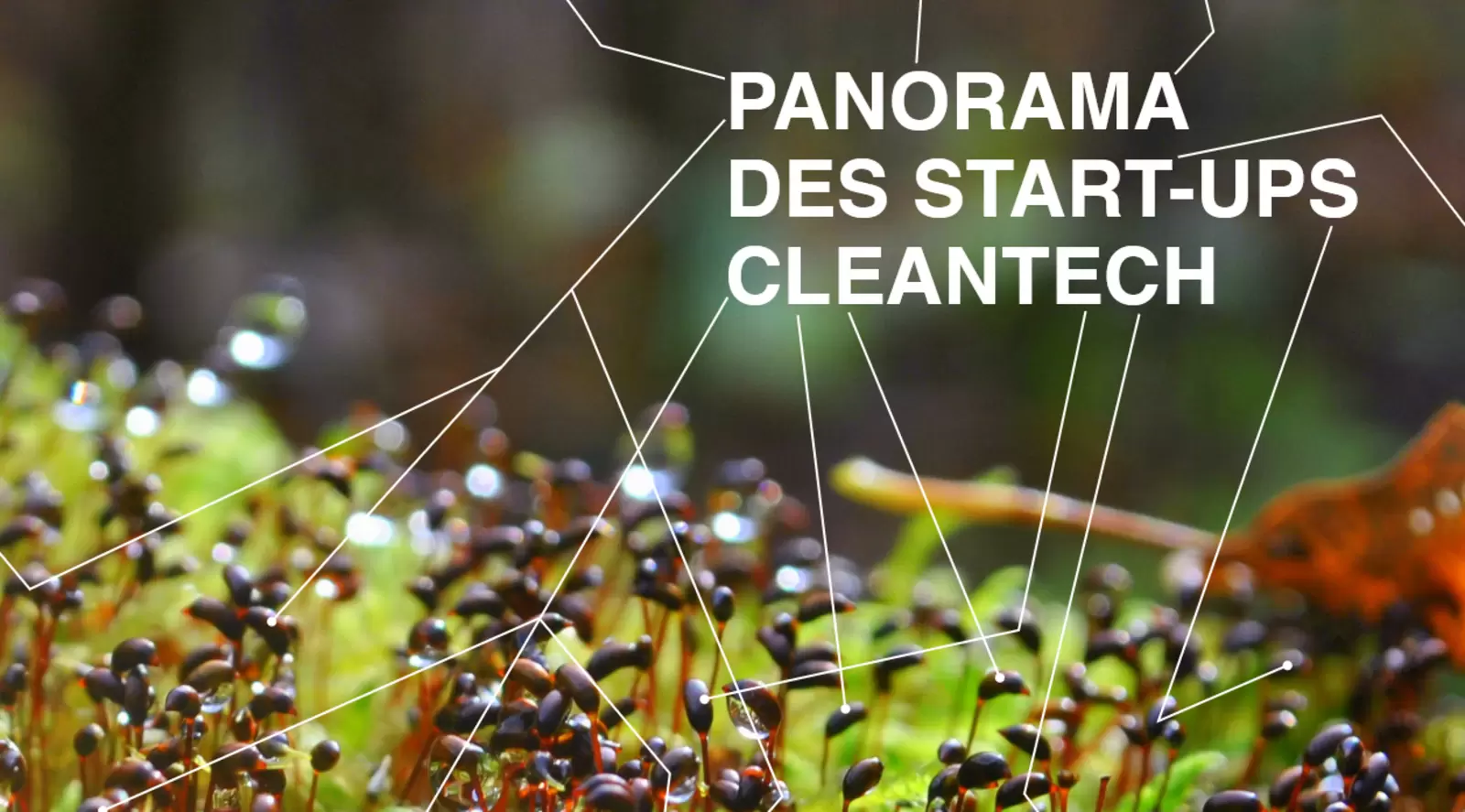 Panorama des Start-ups Cleantech en Suisse - 2e édition