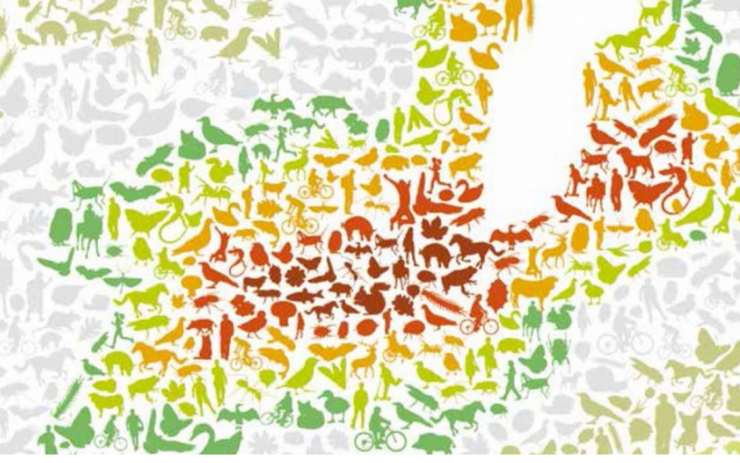 Genève: plan biodiversité 2025-2030