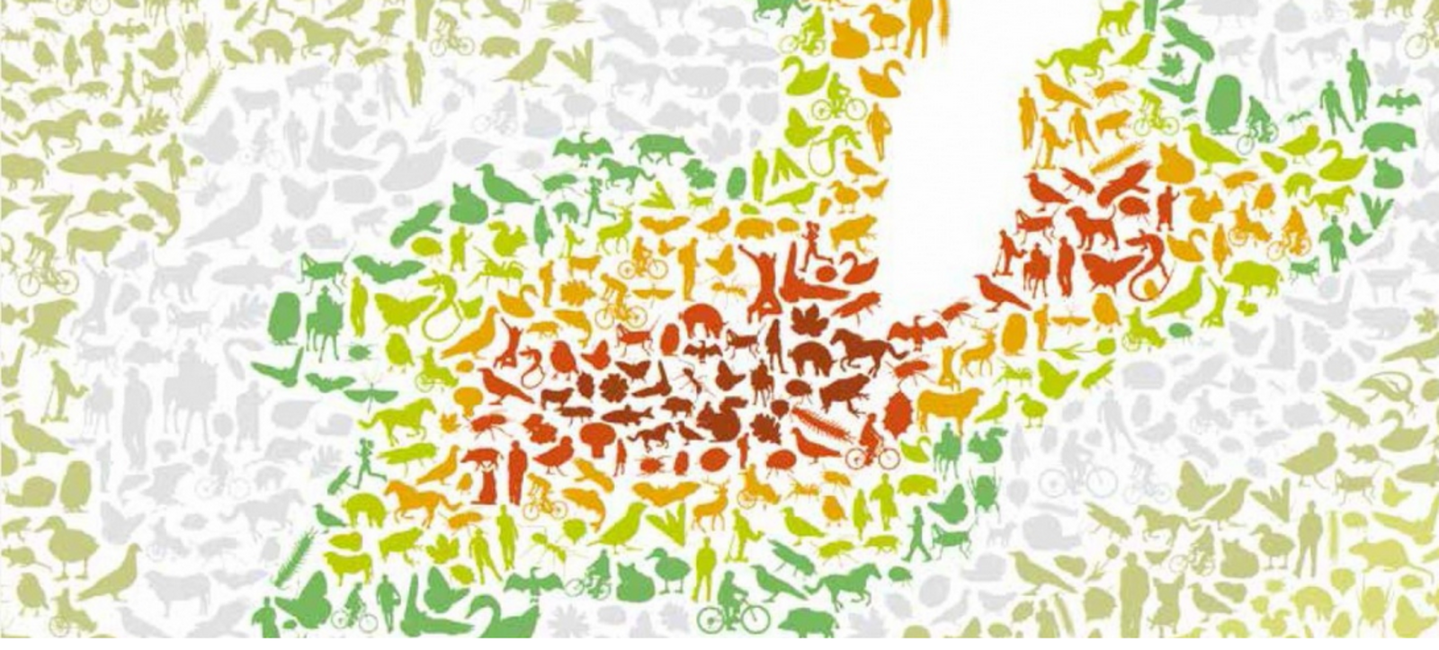 Genève: plan biodiversité 2025-2030