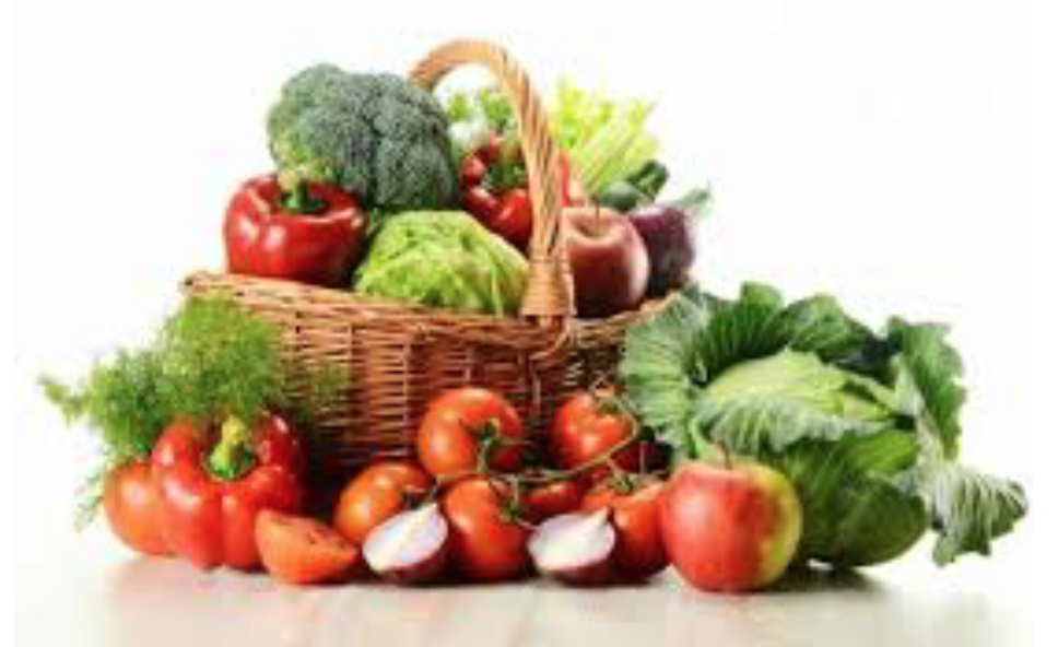 ARE recherche des idées innovantes pour une alimentation durable