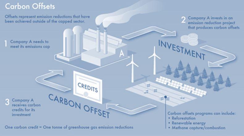 Entreprise CO2 neutre: pièges et bonnes pratiques