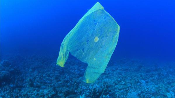 Les plastiques biodégradables ne peuvent pas se décomposer dans l&rsquo;océan