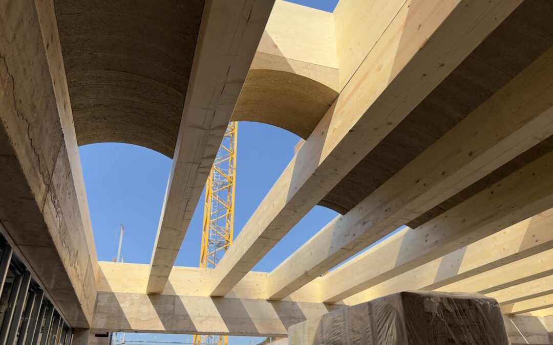 [Interview] Terrabloc: l’innovation par la terre crue pour une architecture plus durable